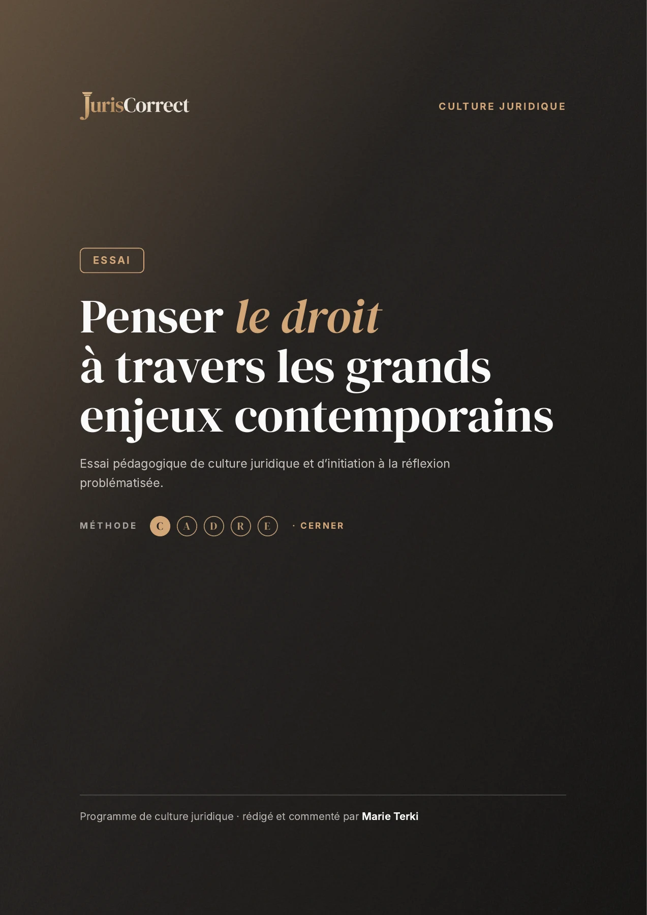 Aperçu de la première page — Penser le droit : Essai pédagogique